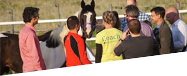 Business-Coaching Teamtraining & Workshops