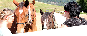 Business-Coaching Teamtraining & Workshops