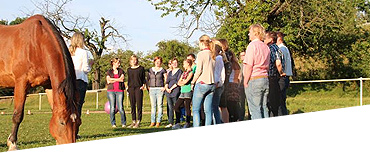 Seminare & Workshops Firmenevents